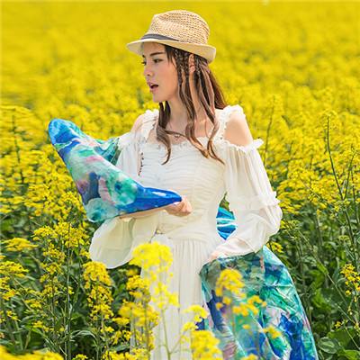 蝶恋花·春江暖涨桃花水